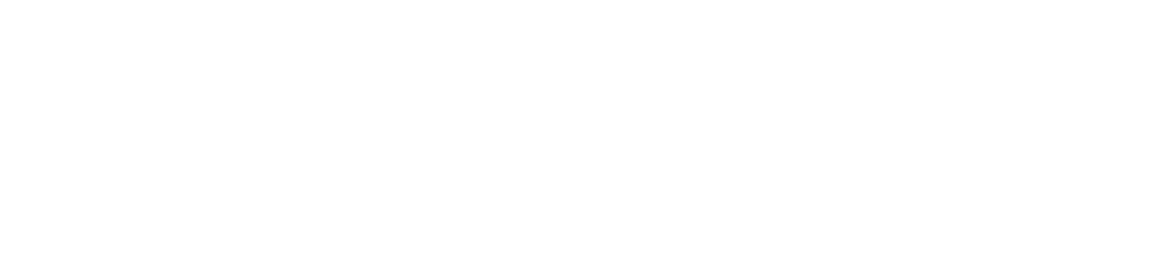 Pro Cloud SaaS